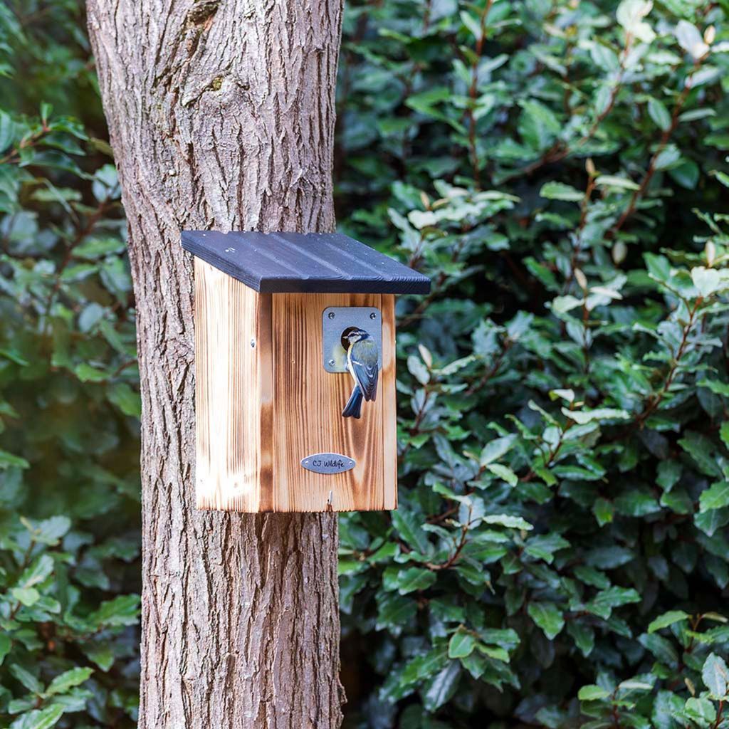 CJ Wildlife Nistkasten - Beaumont 28 mm - Holz (FSC) - für Produktbild 