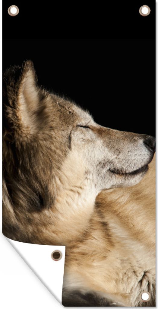 MuchoWow 80x160 cm Outdoor-Poster Gartendeko Sichtschutz Garten Poster für den Garten Zufriedener Polarwolf