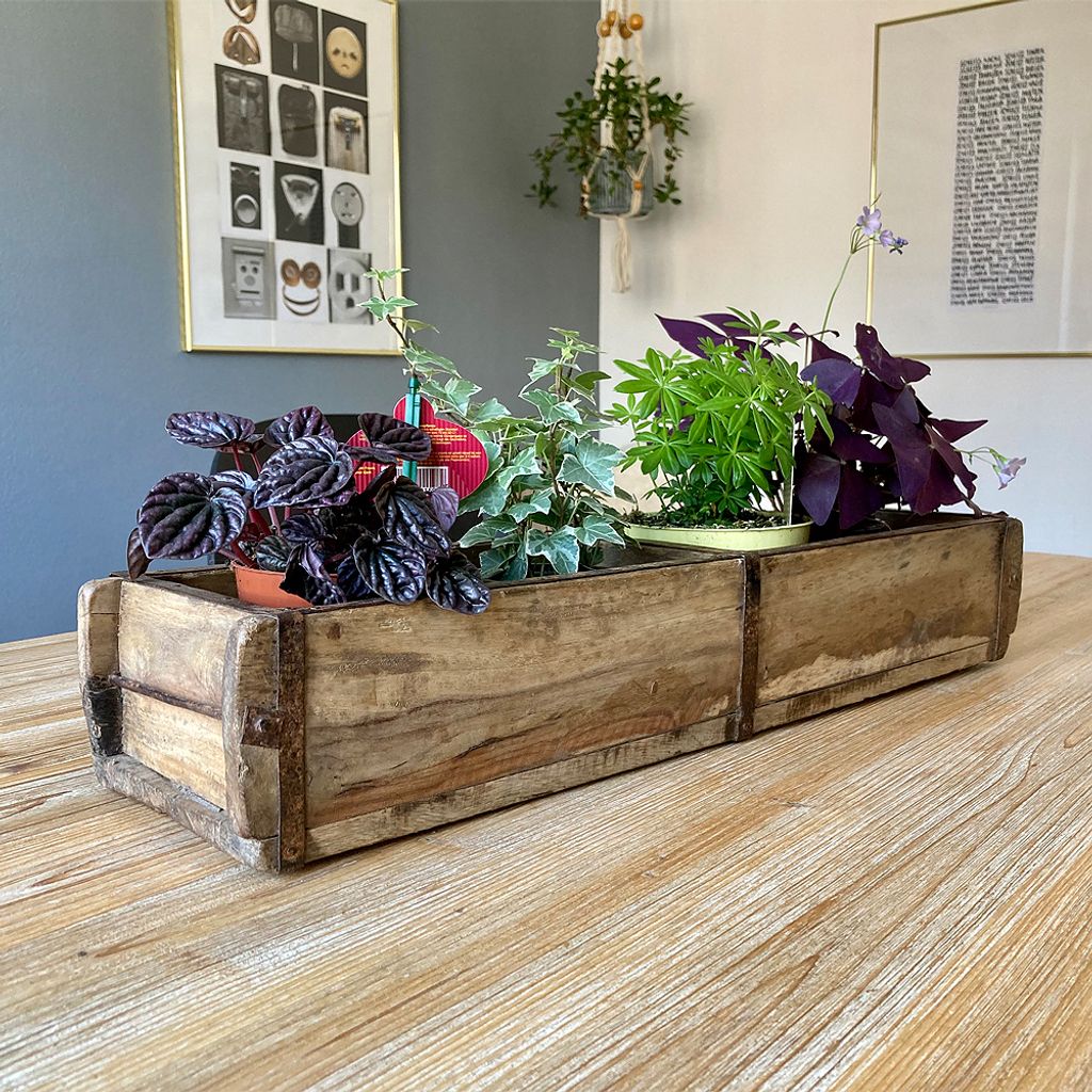 Original Ziegelform BATA 60cm mit Metallbeschlägen Unikat