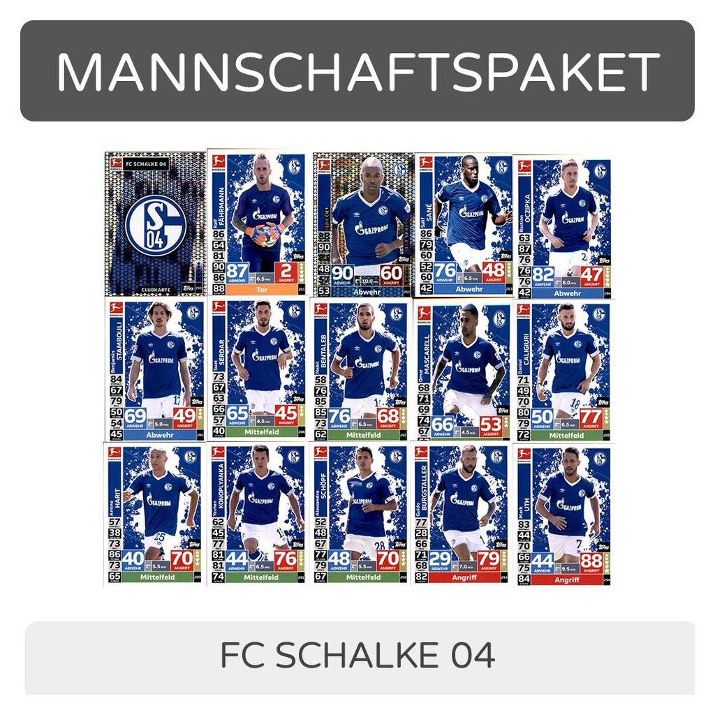 Topps Match Attax - 2018/19 - Mannschaftspaket - FC Schalke 04