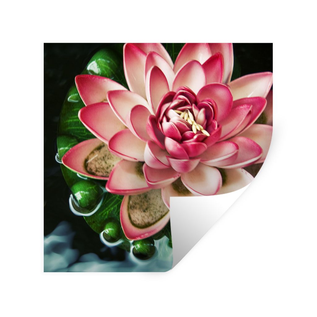 MuchoWow Wandtattoo Wandsticker Wandaufkleber Ein Koi-Karpfen mit einer rosa Blume 50x50 cm Selbstklebend und Repositionierbar - Selbstklebend - ...