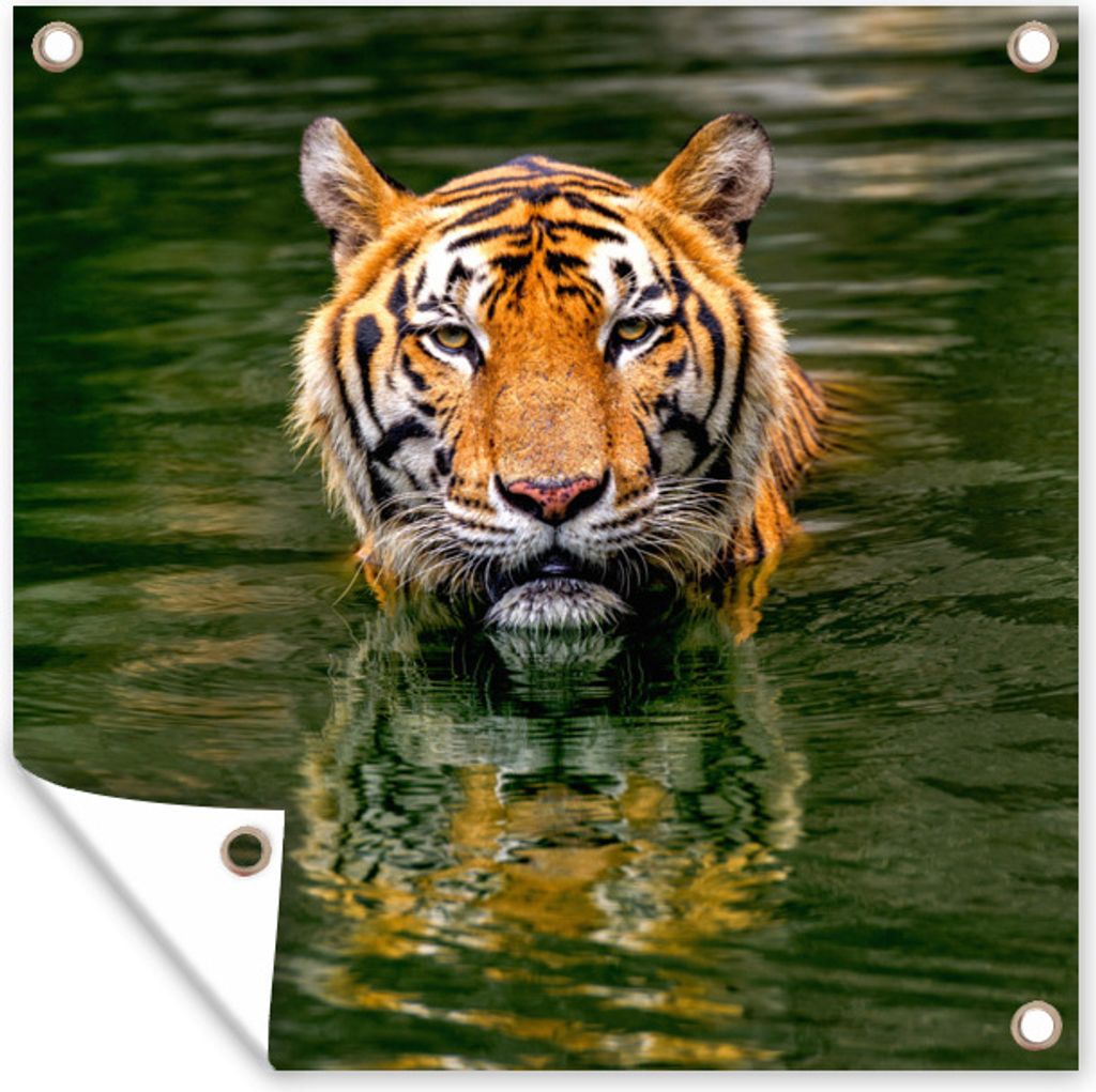 MuchoWow 100x100 cm Outdoor-Poster Gartendeko Sichtschutz Garten Poster für den Garten Tiger im Wasser