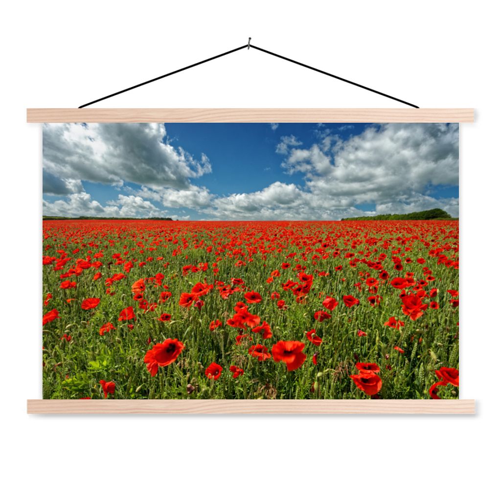 MuchoWow Textilposter Schneeweiße Wolken über einem Mohnblumenfeld 60x40 cm mit holzfarbenen Rahmen - Bilder