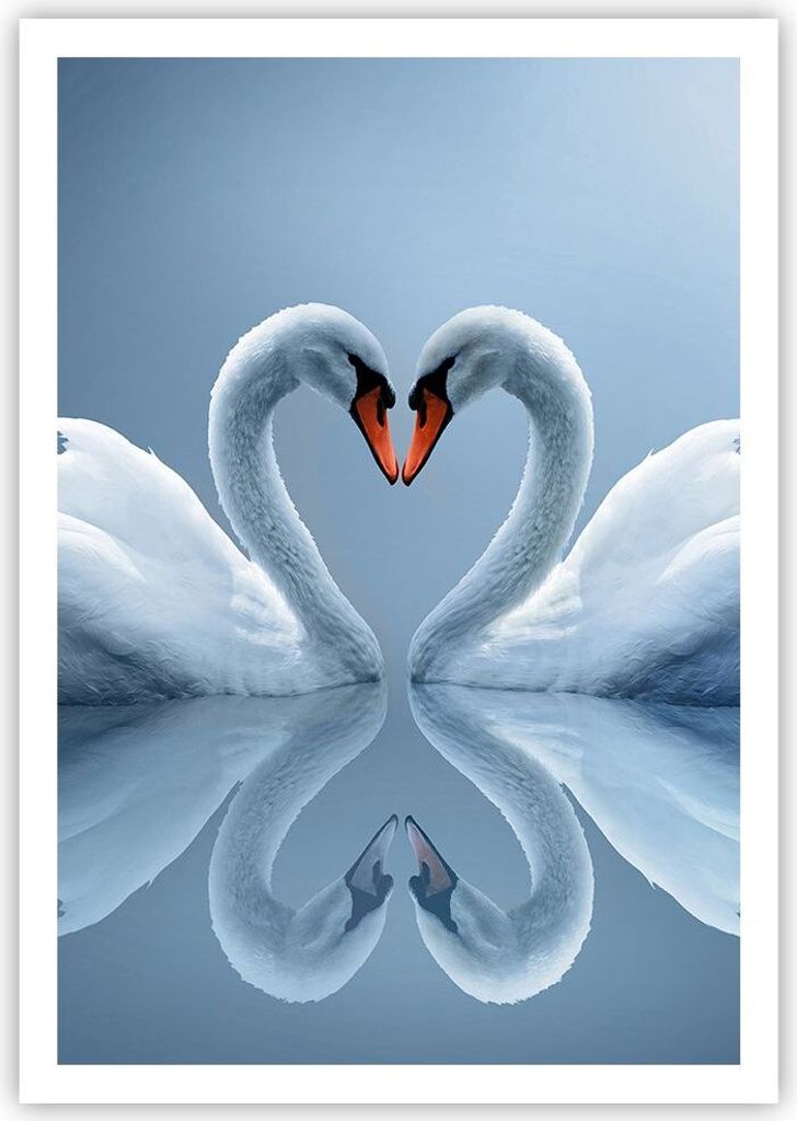 Poster - Poster ohne Rahmen - Ladung Dampf Wasser - 70x100 cm - Wand Bild - Wanddeko - Wandbilder - Kunstposter - Wandposter - Bilder - Kunstdruck ...