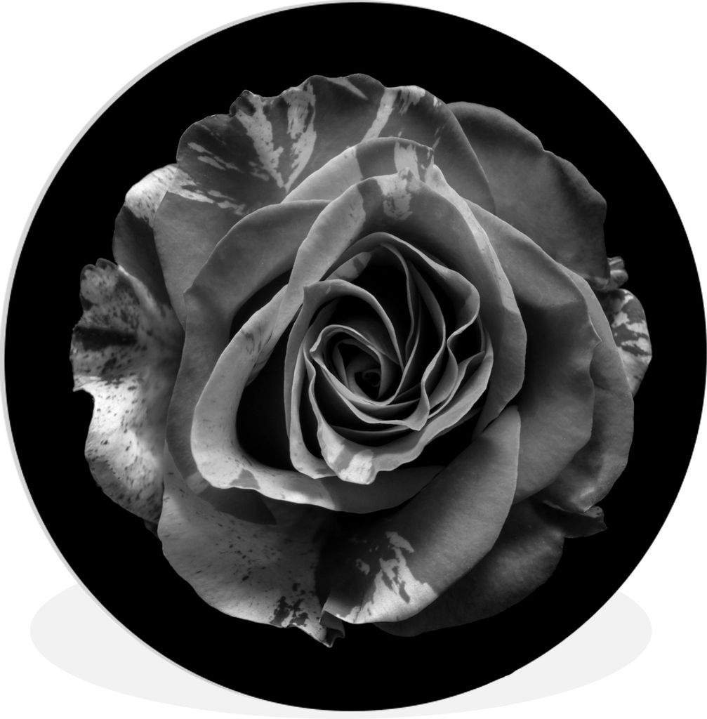 MuchoWow Rundes Wandbild - Runde Bilder Blumen - Rose - Schwarz - Weiß - Botanisch Ø 30 cm Kreis Wanddekoration Kunststoff - Wandkreis - Wandsc...