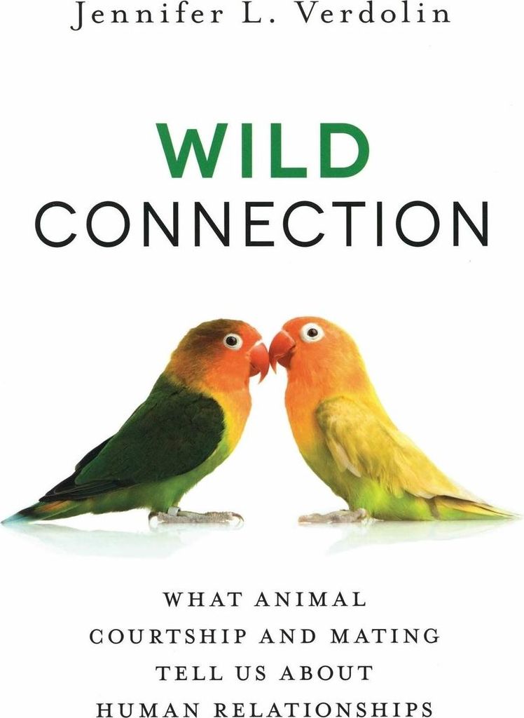 Wild Connection