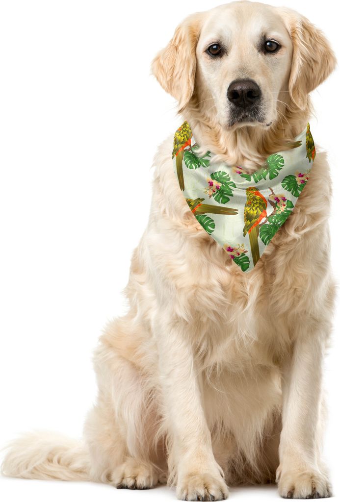 ABAKUHAUS Philodendron Haustier Bandana, Floral Exotischer Papagei, 55x55 cm, Pastellgrün Multicolor