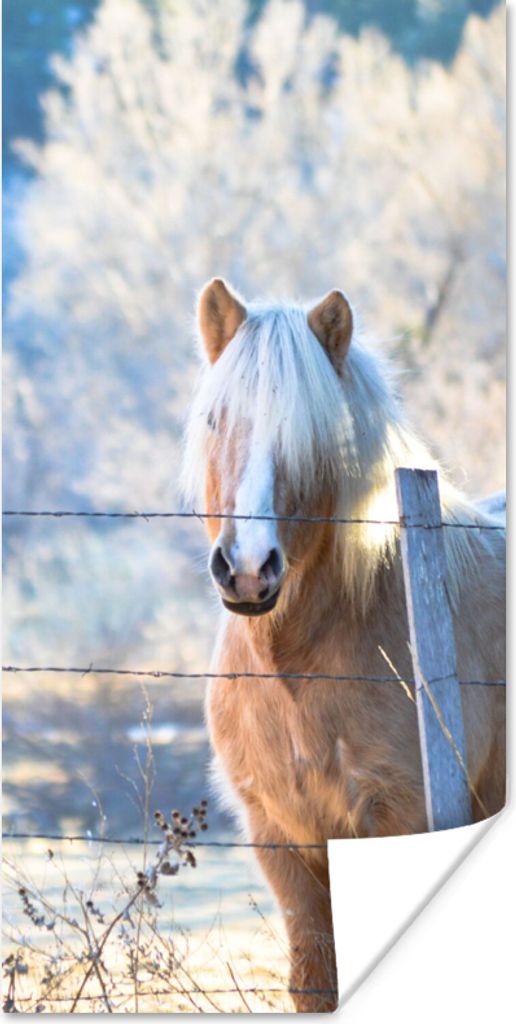 MuchoWow Poster Pferd - Winter - Schnee 80x160 cm - Kinderzimmer