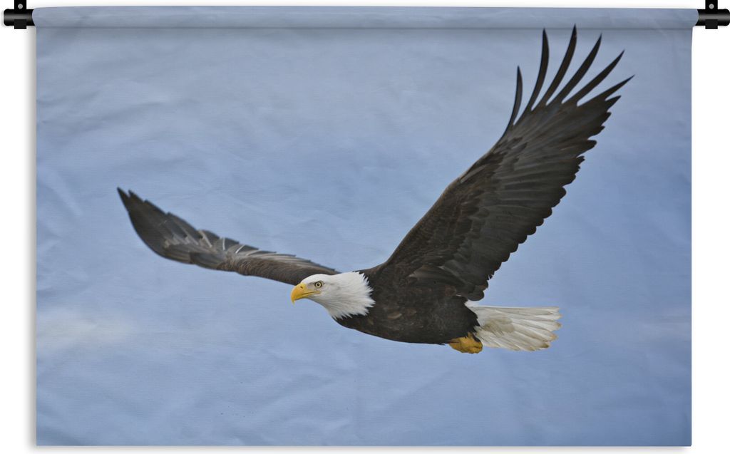 MuchoWow Wandteppich Wandbehang Ein fliegender Weißkopfseeadler 120x80 cm Tapisserie Dekoration Wandtuch - Wanddekorationen - Wandtücher