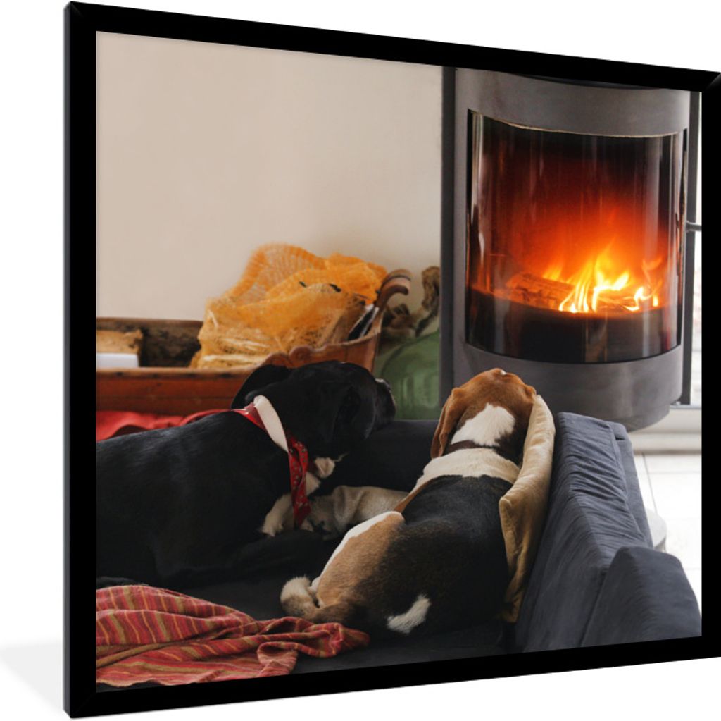 MuchoWow Gerahmtes Poster Hunde schauen auf einen Kamin 40x40 cm - Poster mit Schwarzem Bilderrahmen Wandposter Rahmen Foto Bilder - Mit Rahmen -...