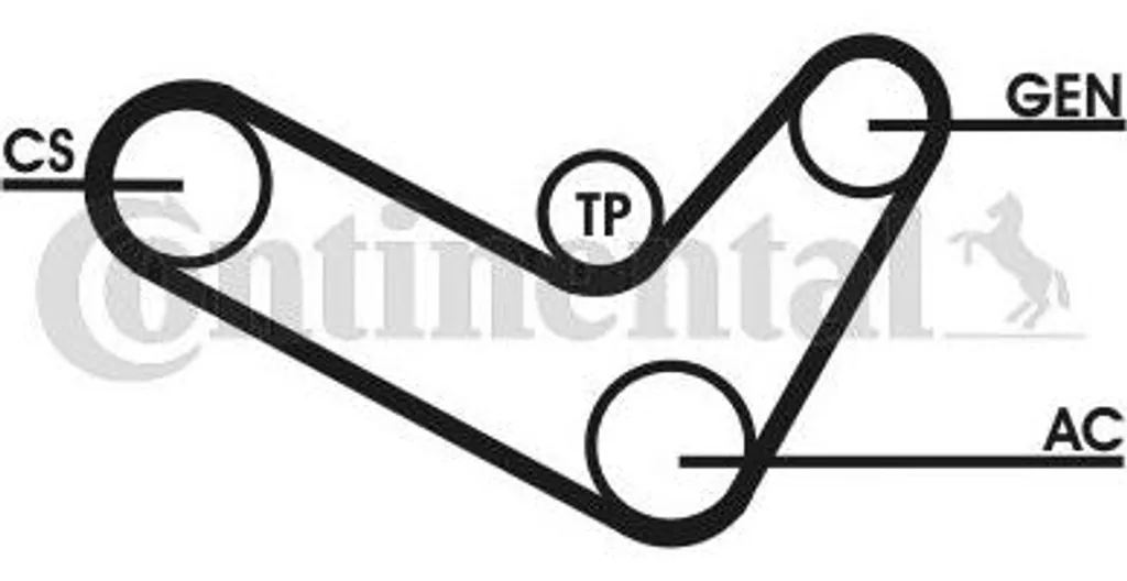 CONTINENTAL CTAM 6PK1050D2 Set di cinghie trapezoidali dentate OE 03G903137B compatibile con Touran, Passat 3C, Jetta, Golf V, Golf Plus, EOS, Caddy, Superb, Octavia, Toledo, Leon, Altea XL, Altea, A3 8P