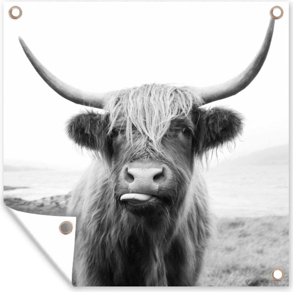 MuchoWow 100x100 cm Outdoor-Poster Gartendeko Sichtschutz Garten Poster für den Garten Tiere - Schottischer Highlander - Kuh - Schwarz - Weiß
