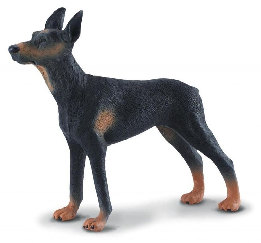 Figurka psa rasy doberman Collecta Zdjęcie produktu 