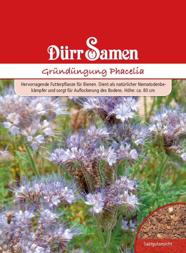 Dürr-Samen - Gründüngung Phacelia Bienenfreund 40 g - Saatgut - 4172