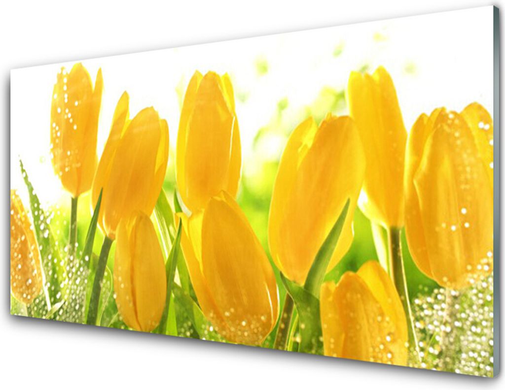 Acrylglasbilder 100x50 Wandbild Druck Tulpen Pflanzen