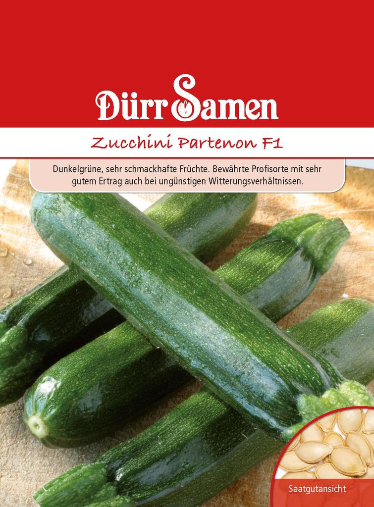 Zucchini Partenon F1 | Zucchinisamen von Dürr Samen Produktbild 