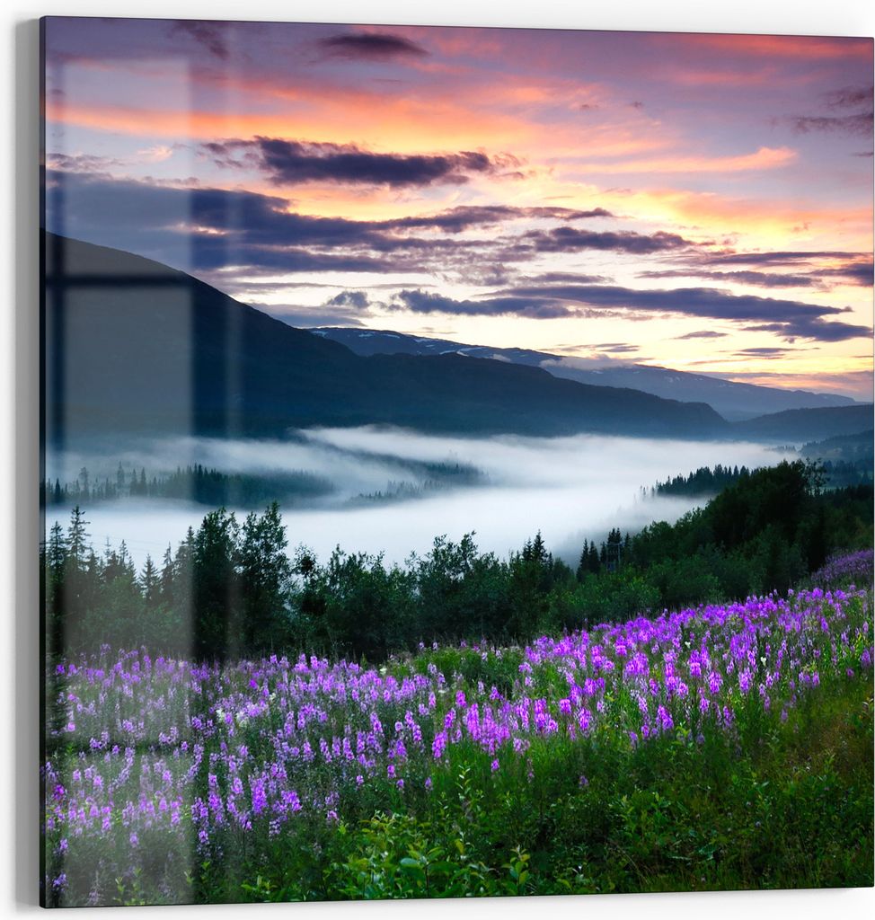 DEQORI Glasbild Echtglas 30x30 cm 'Nebelhauch am Morgen' Wandbild Bild modern Deko