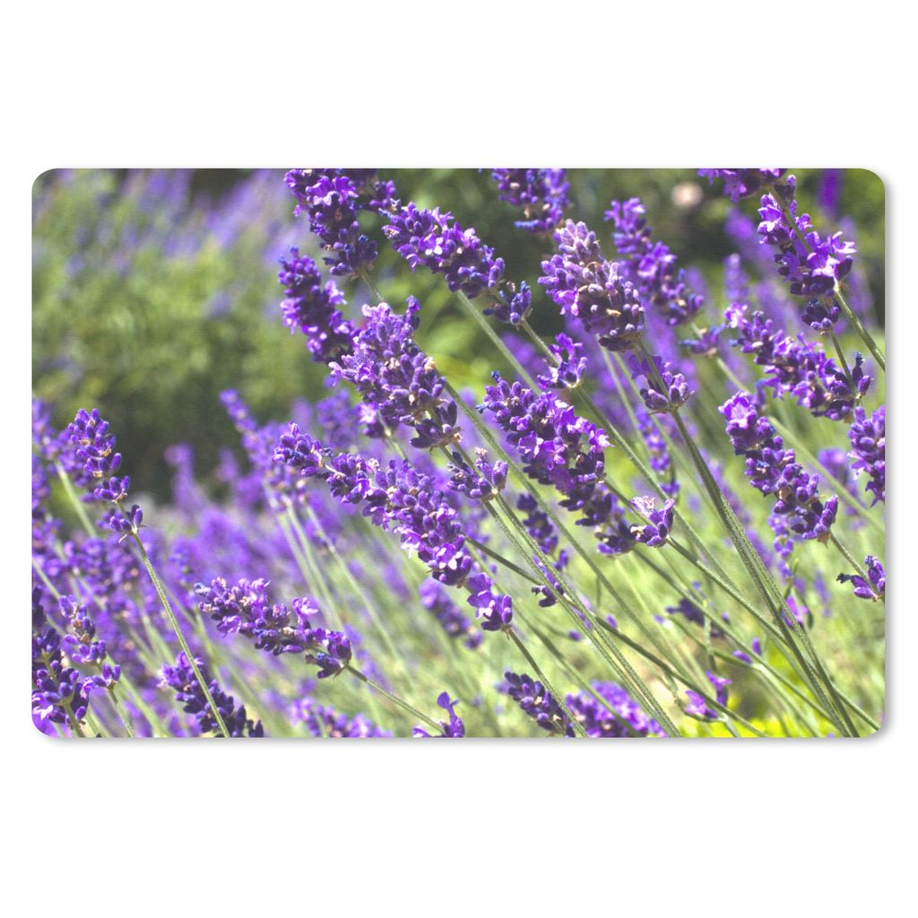 MuchoWow Mauspad Mousepad Leuchtend lila Lavendel in der Natur 27x18 cm - Mousepads - Maus Mat - Pad - Mausunterlage - Büroartikel - Desk Matten