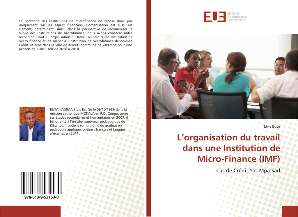 L'organisation du travail dans une Institution de Micro-Finance (IMF)