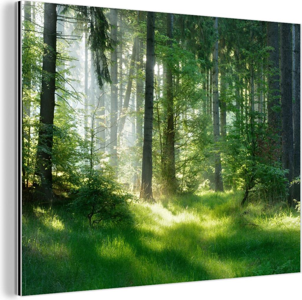 MuchoWow Wanddekoration Metall Metallbild Wandkunst 80x60 cm Natur - Bäume - Wald - Grün - Sonne - Gras - Pflanzen MuchoWow Aluminium Gemälde - ...
