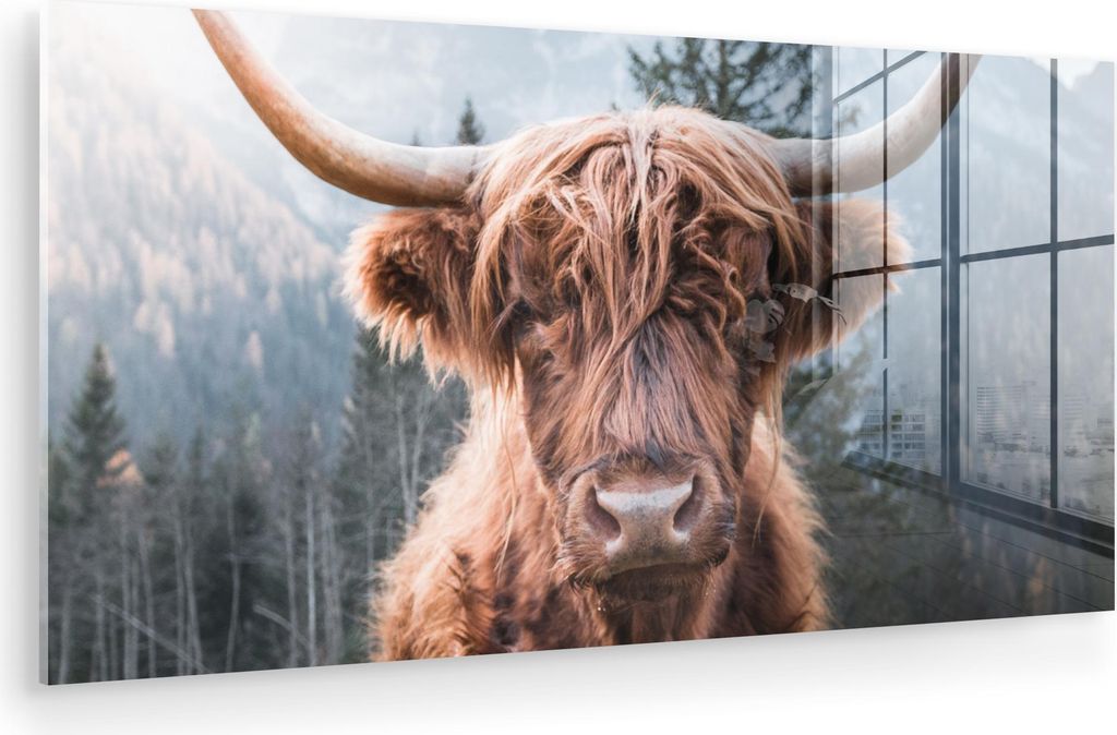 MuchoWow Glasbilder - Bilder auf Wandbild - Foto auf Glas Schottisches Hochlandrind - Kuh - Tiere - Berg - Natur 80x40 cm Wanddekoration aus Glas -...