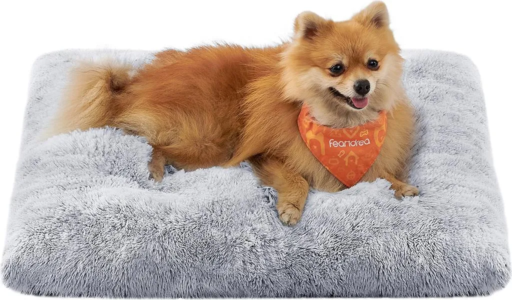 Offerta Cuccia Cane 65x45 Imbottita - Prezzo Shock per Qualità Top