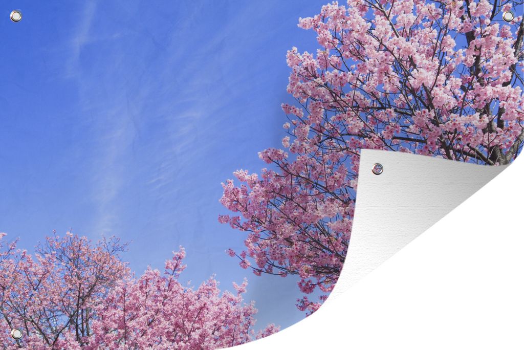 MuchoWow 90x60 cm Outdoor-Poster Gartendeko Sichtschutz Garten Poster für den Garten Kirschblüte gegen blauen Himmel