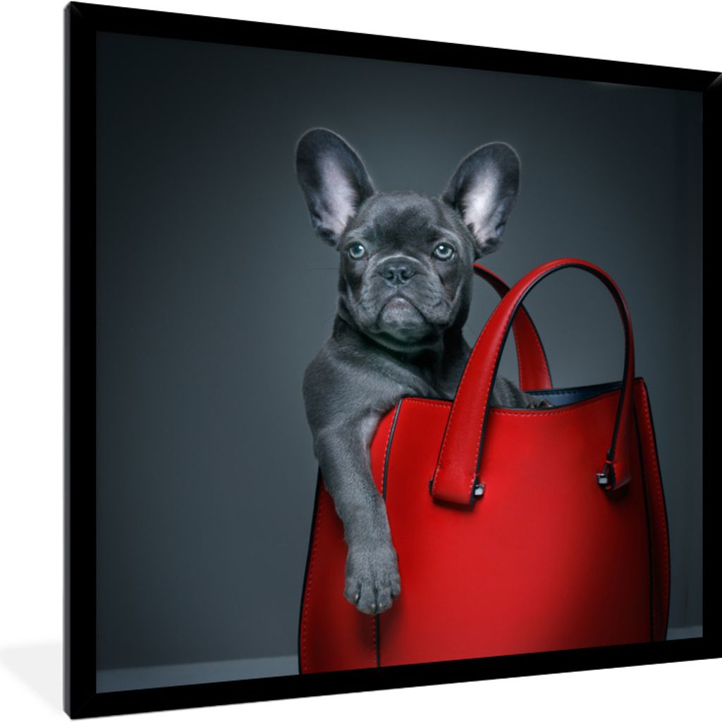 MuchoWow Gerahmtes Poster Hund - Lustig - Tasche - Kinder - Jungen - Mädchen - Kinder 40x40 cm - Poster mit Schwarzem Bilderrahmen Wandposter Ra...