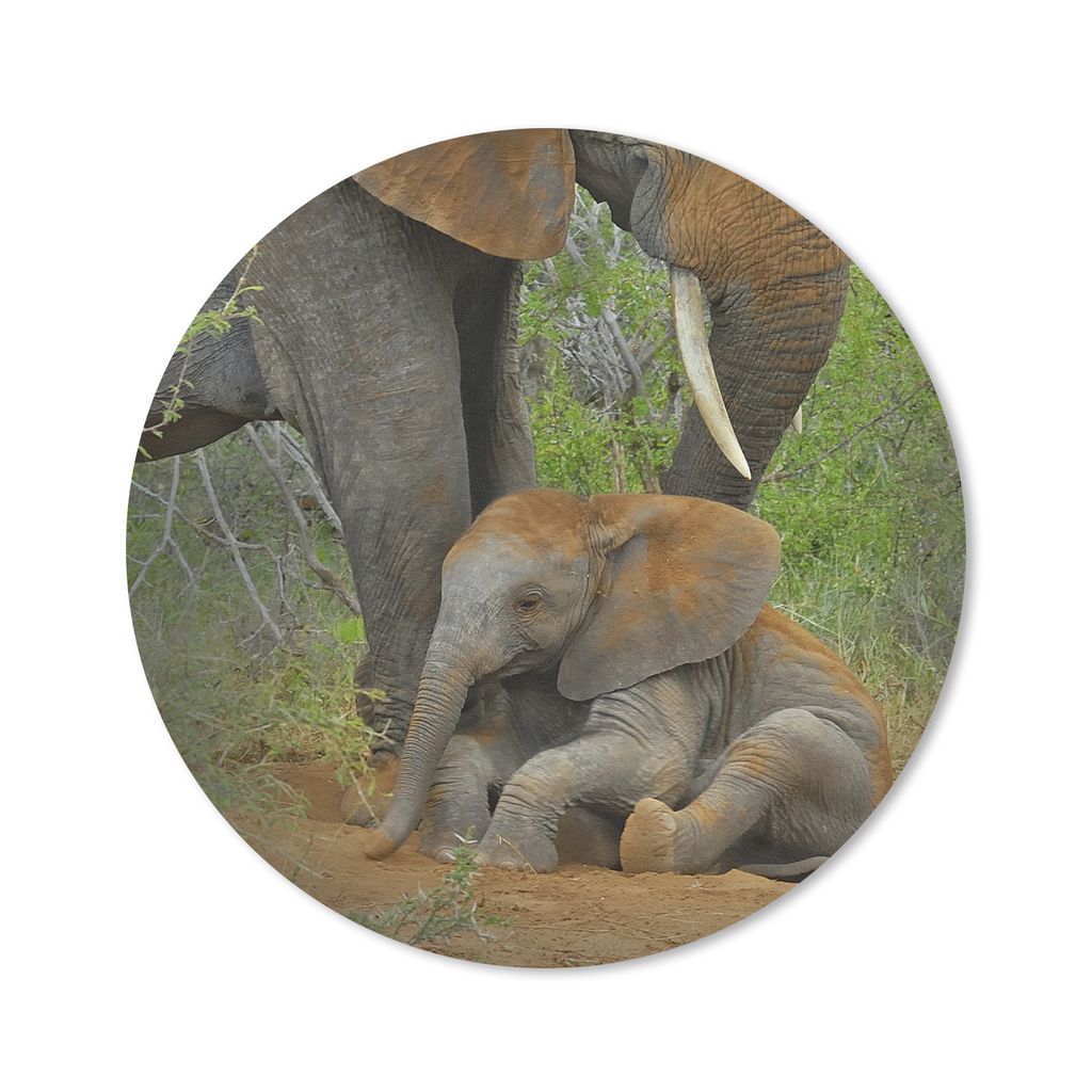 MuchoWow Mauspad Mousepad Elefant - Tiere - Sand - Natur 30x30 cm - Mousepads - Maus Mat - Pad - Mausunterlage - Tischunterlage - Schreibtischmatten