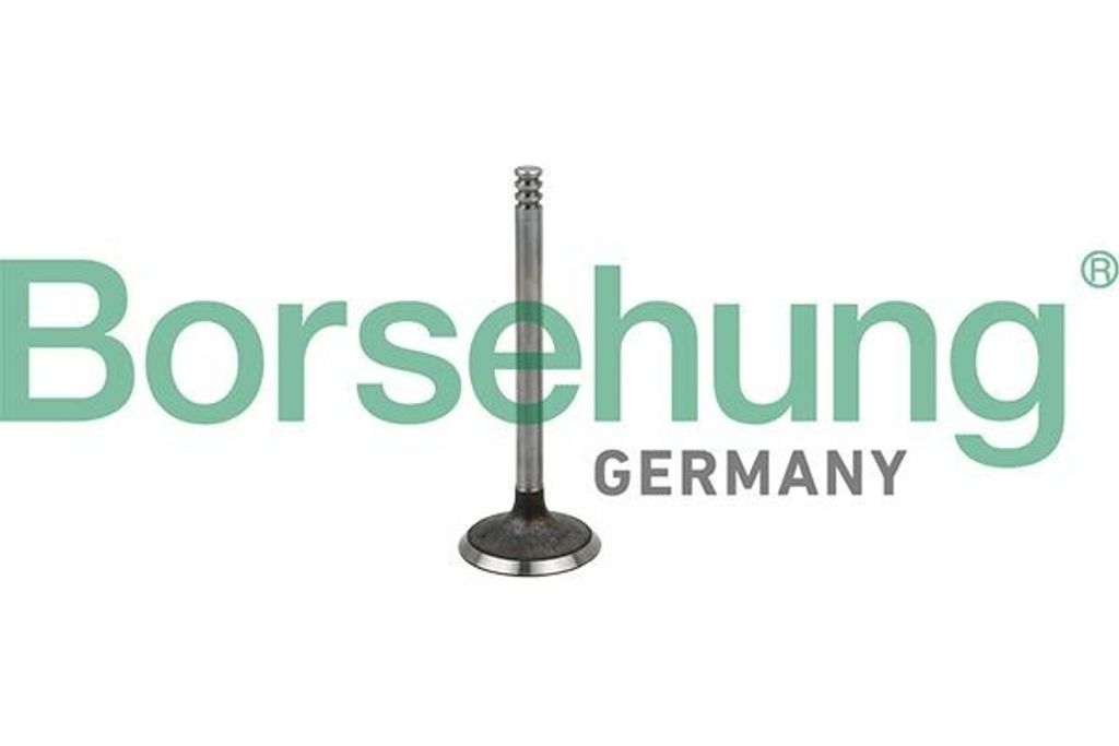 Borsehung B19029 Einlassventil für VW Golf IV Schrägheck (1J1)