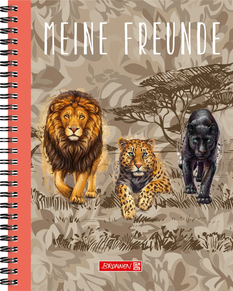 Carnet de souvenirs d'école BRUNNEN pour ne jamais oublier