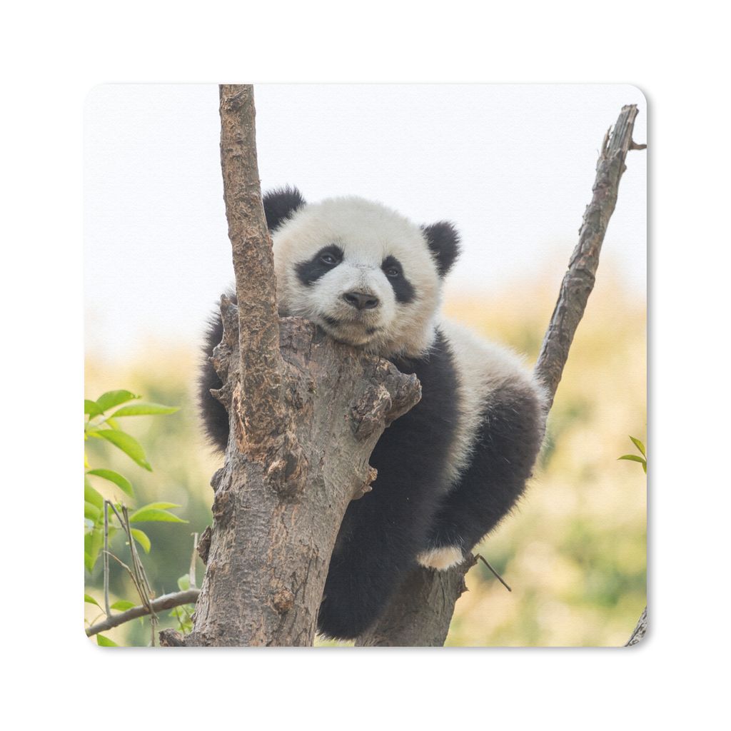 MuchoWow Mauspad Mousepad Panda - Baum - Licht 30x30 cm - Mousepads - Maus Mat - Pad - Mausunterlage - Gaming