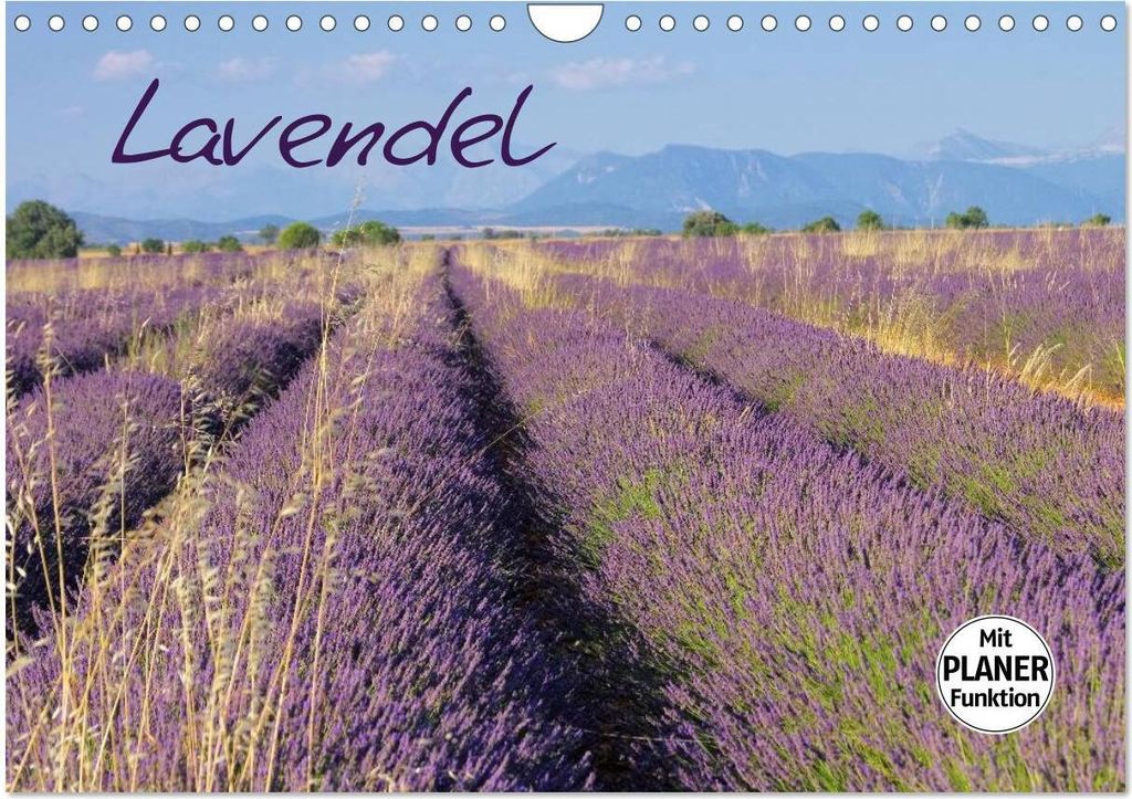 Lavendel (Wandkalender 2026 DIN A4 quer), CALVENDO Monatskalender