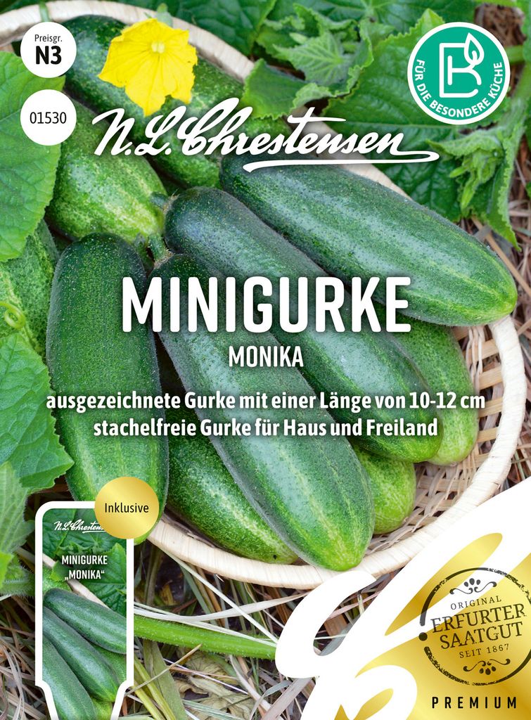 Minigurke Monika | Gurkensamen von N.L. Chrestensen