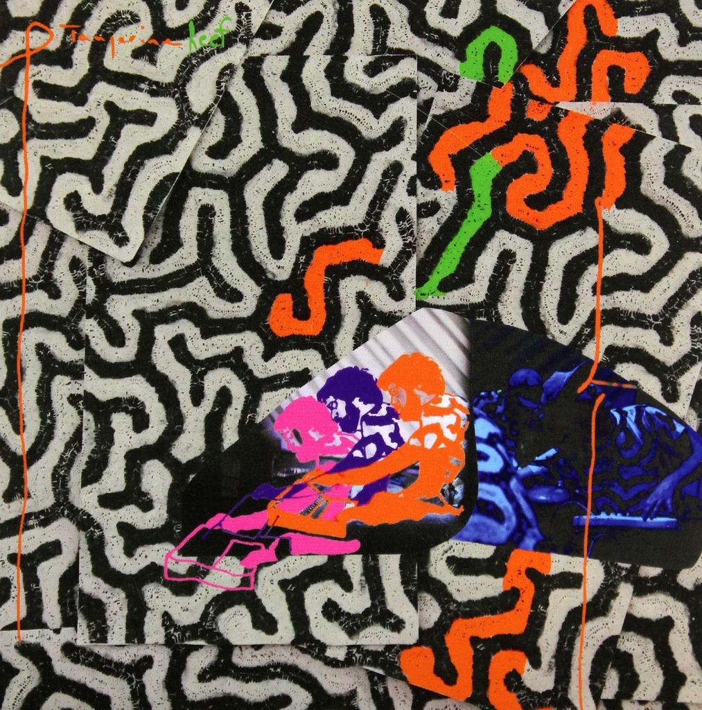 Animal Collective: Tangerine Reef