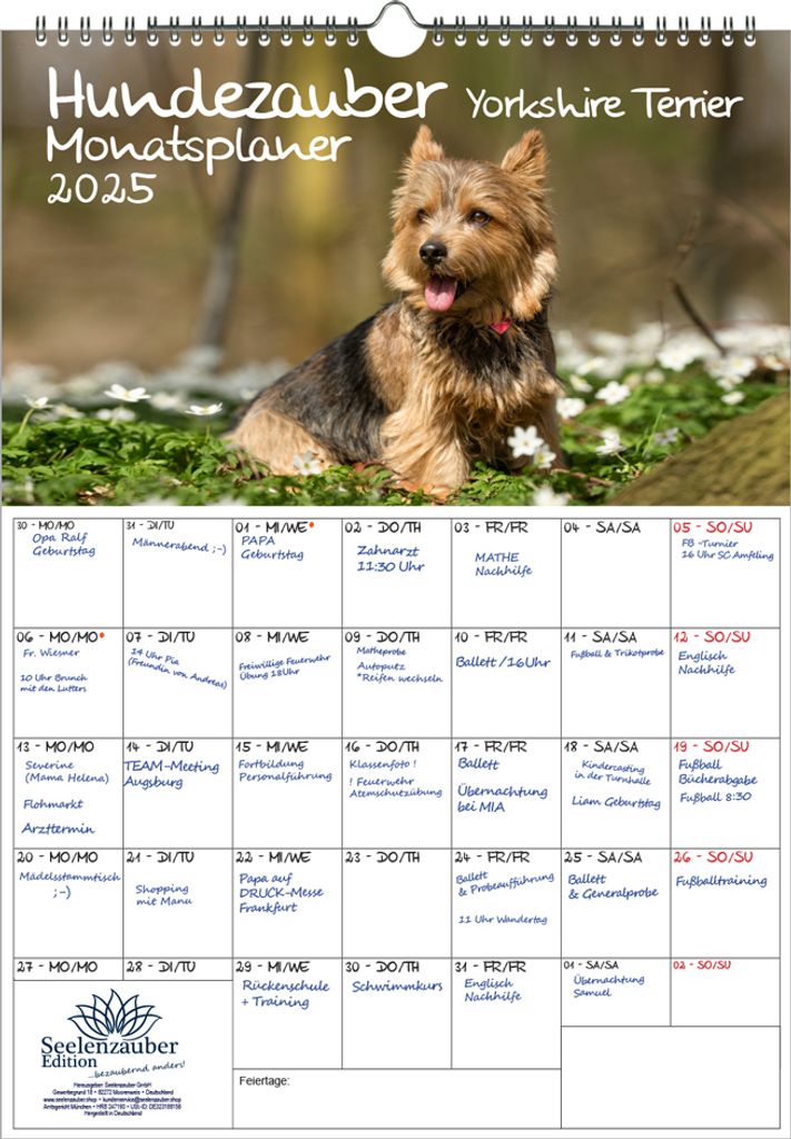 Hundezauber Yorkshire Terrier Planer DIN A3 Kalender für 2025 Hunde Welpen - Seelenzauber