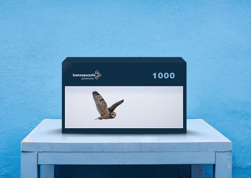 hansepuzzle 30889 - Eule Puzzle, 1050 Teile, Tierwelt, 60,0 x 46,0cm mit hochwertiger Aufbewahrung, Kartonbox und wiederverschließbarem Beutel