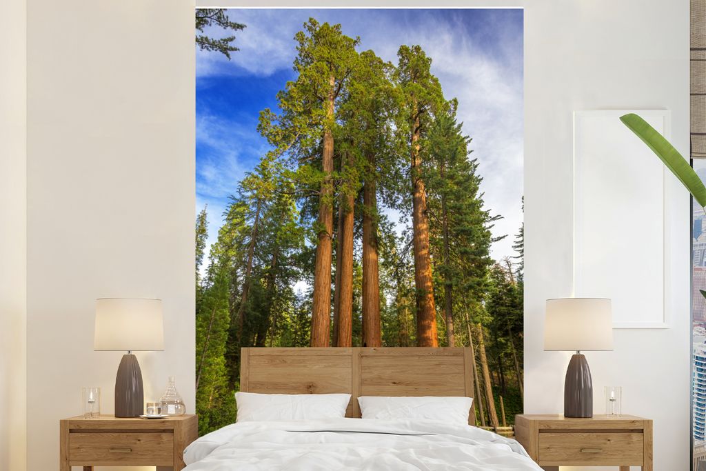 MuchoWow Fototapete für Wohnzimmer oder Schlafzimmer Wandtapete Vinyl Motivtapete Große Mammutbäume in Grant Grove - 225x350 cm - Schlafzimmer...