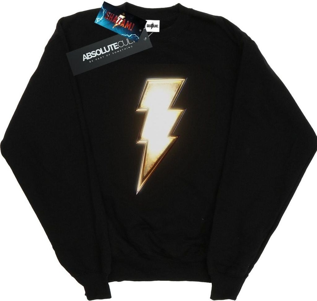 DC Comics - Sweatshirt für Herren BI44481 (XXL) (Schwarz)