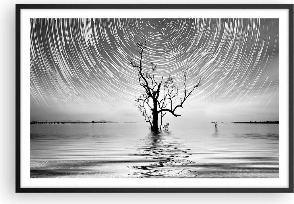 Gerahmtes Poster - Schwarzer Rahmen - Schwarzweiß Baum See - 91,5x61 cm - Wand Bild - Wanddeko - Wandbilder - Kunstposter - Wandposter - Bilderrah...