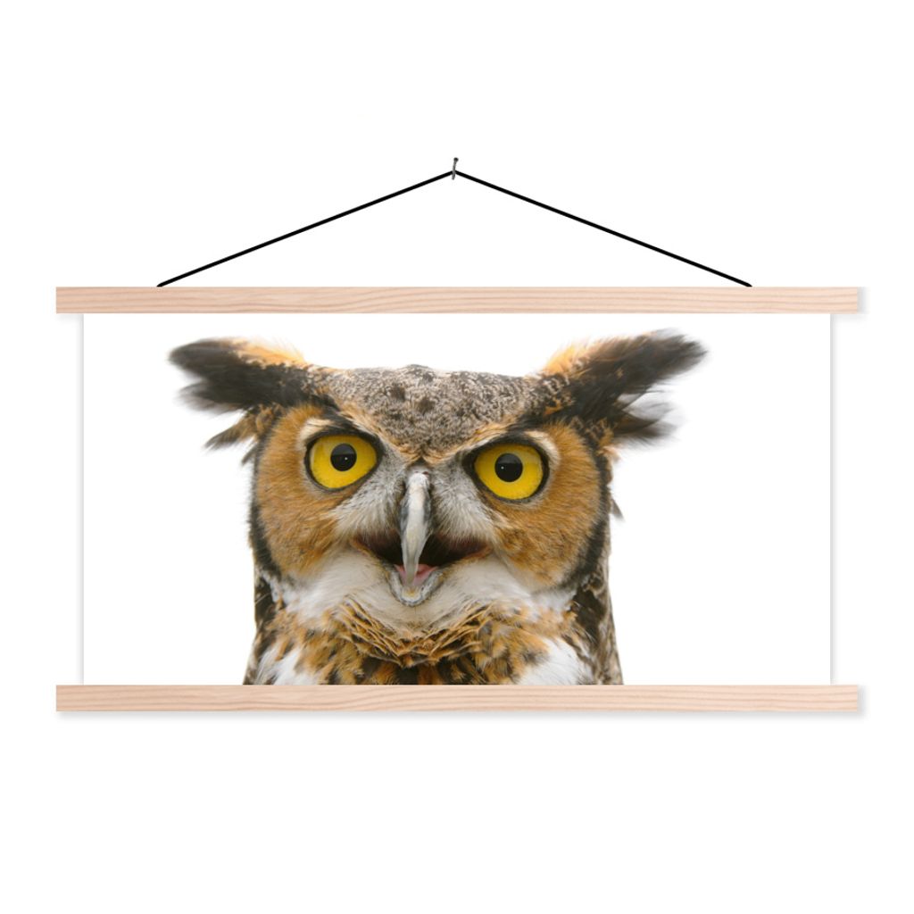 MuchoWow Textilposter Eule - Vogel - Porträt 120x60 cm mit holzfarbenen Rahmen - Klemmleiste