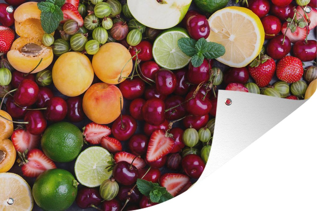 MuchoWow 90x60 cm Outdoor-Poster Gartendeko Sichtschutz Garten Poster für den Garten Obst - Farben - Sommer