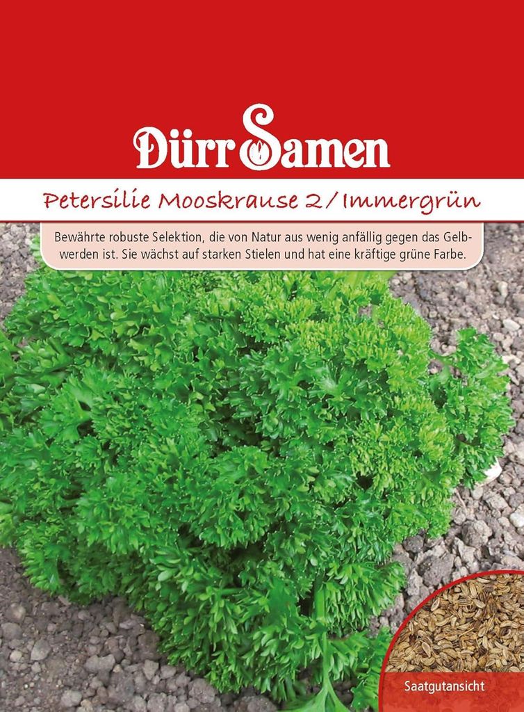Dürr-Samen - Petersilie Immergrün - Saatgut - 0515