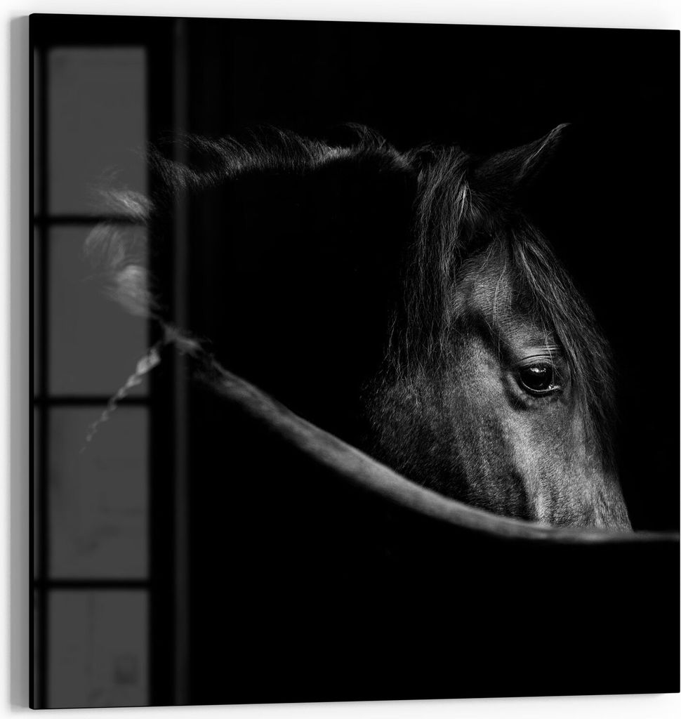 DEQORI Glasbild Echtglas 30x30 cm 'Schönes Pferd im Profil' Produktbild 