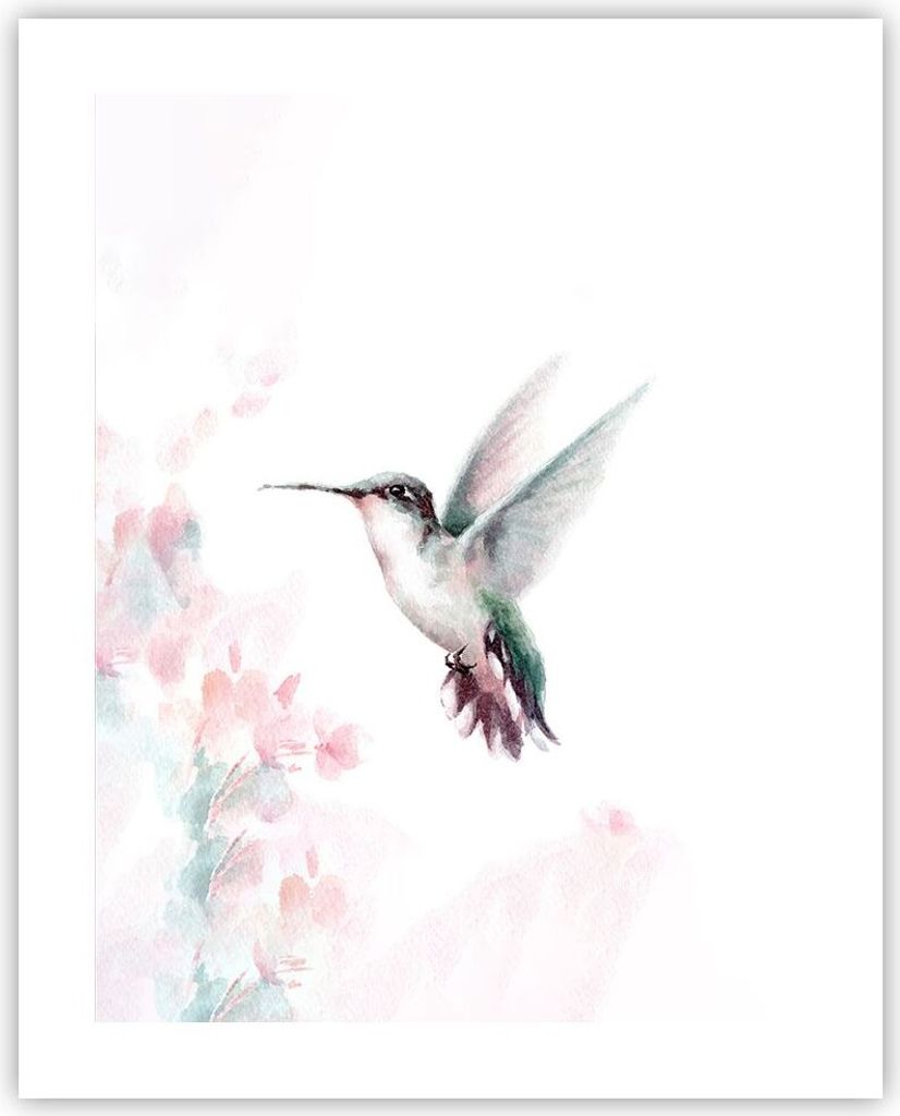 Poster - Poster ohne Rahmen - Kolibri Aquarell Licht - 40x50 cm - Wand Bild - Wanddeko - Wandbilder - Kunstposter - Wandposter - Bilder - Kunstdruc...