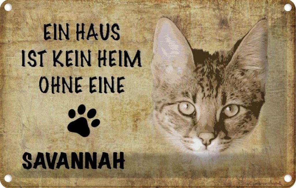vianmo Blechschild 12x18 cm Savannah Katze ohne kein Heim Tier Haustier