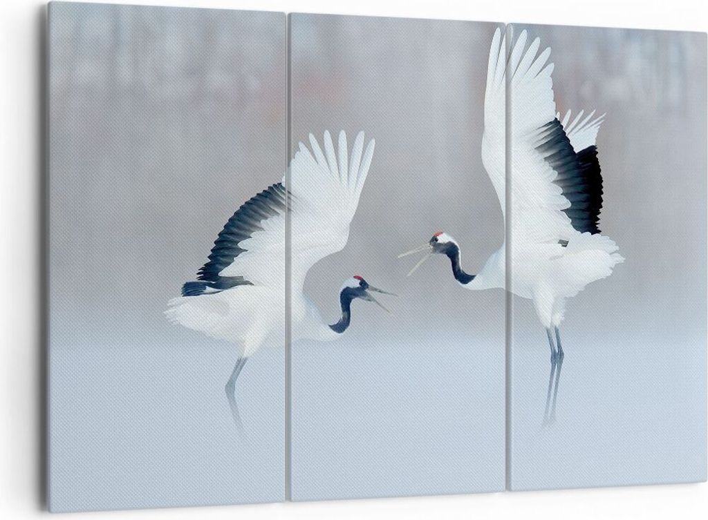 Bild auf Leinwand - Leinwandbild - 3 Teile - Kraniche kämpfen tanzen - 165x110cm - Wand Bild - Wanddeko - Wandbilder - Leinwanddruck - Bilder - Wa...