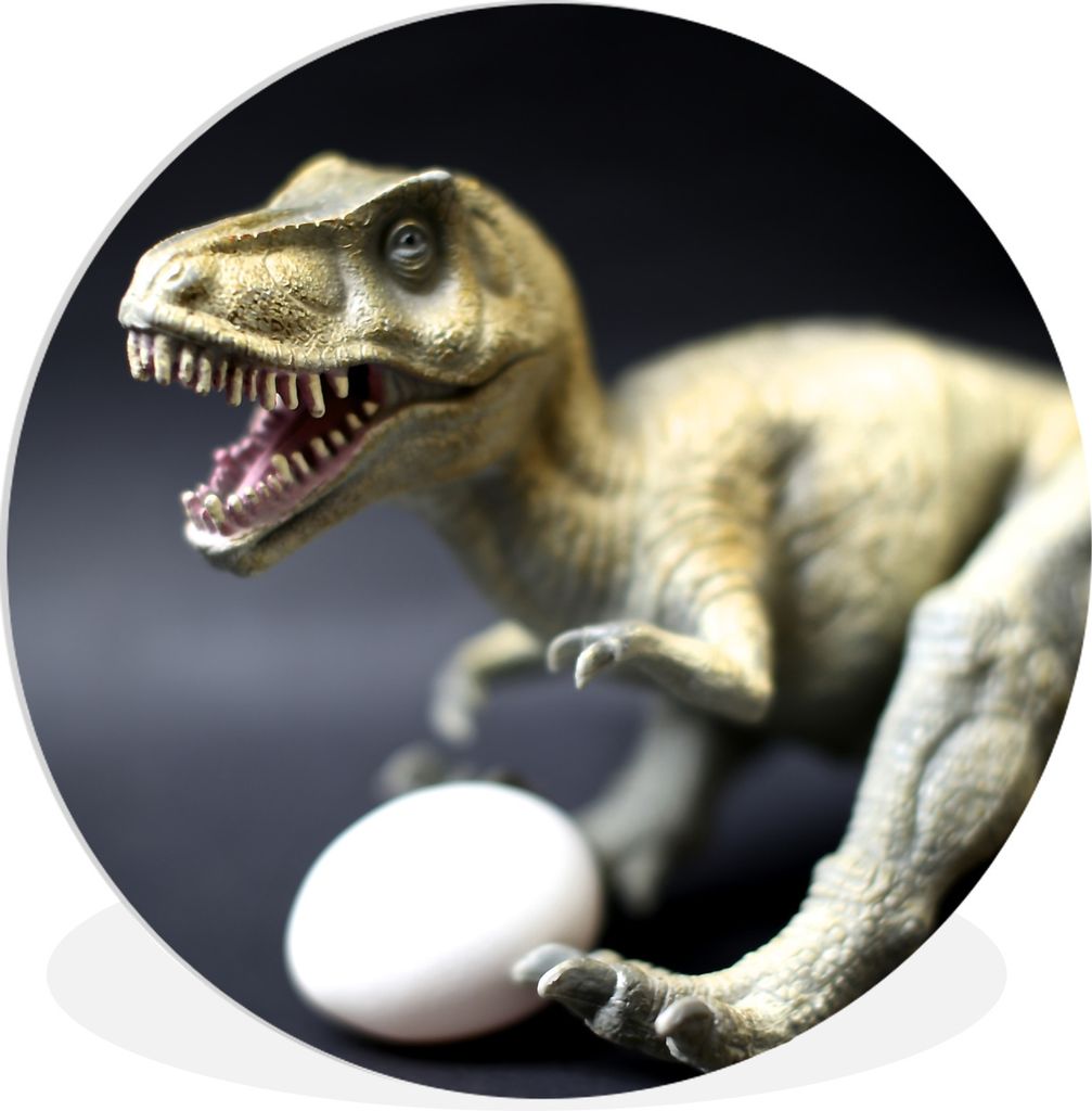 MuchoWow Rundes Wandbild - Runde Bilder Dinosaurier-Ei - weiß Ø 60 cm Kreis Wanddekoration Kunststoff - Wandkreis - Wandschmuck - Wand Kreis - ...