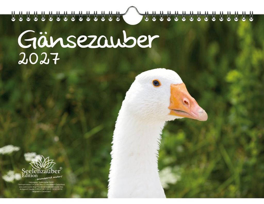 Gänsezauber DIN A4 Kalender für 2027 Gänse - Seelenzauber