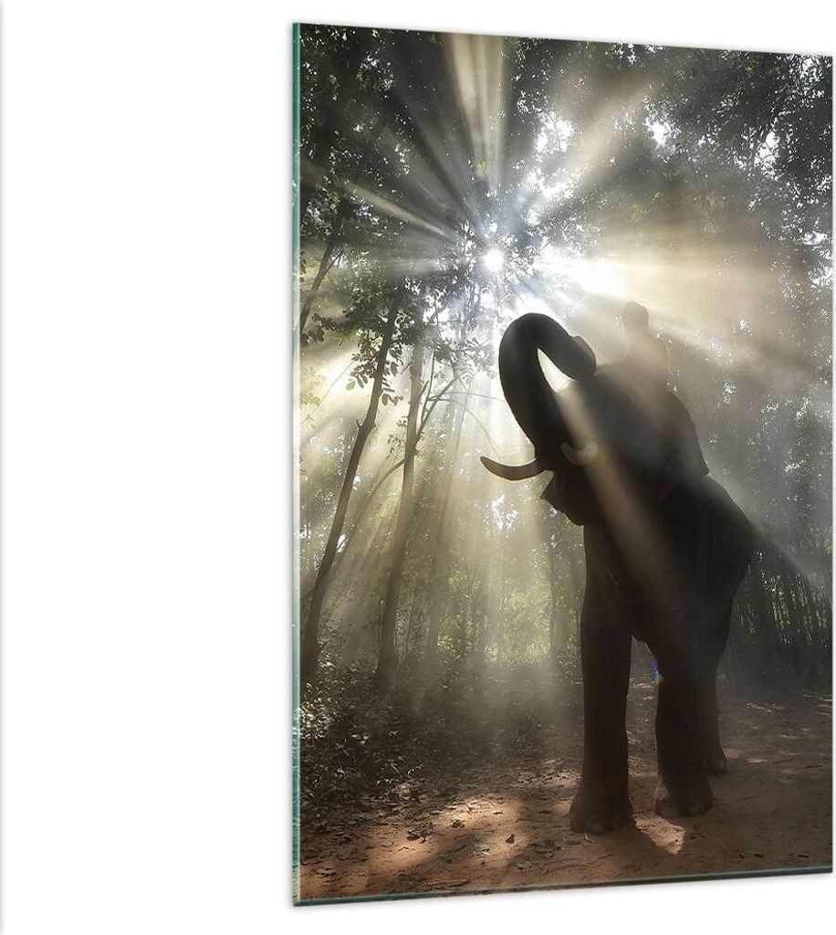 Bilder auf glas - Einteilig - Elefant Dschungel - 80x120cm - Glasbilder - Wandbilder - Bilder - zum Aufhängen bereit - Wanddekoration aus Glas - ...